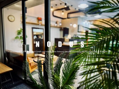 ノードゥス(NODUS)の写真