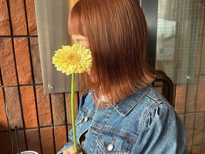 エフ(efu.)の写真