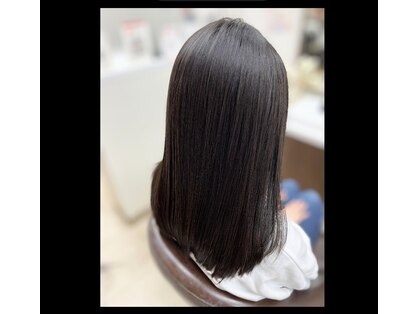 ステデイ(steady)の写真