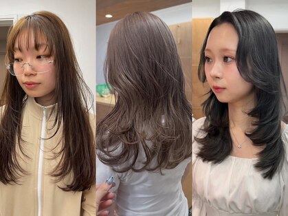 バド(bado)の写真