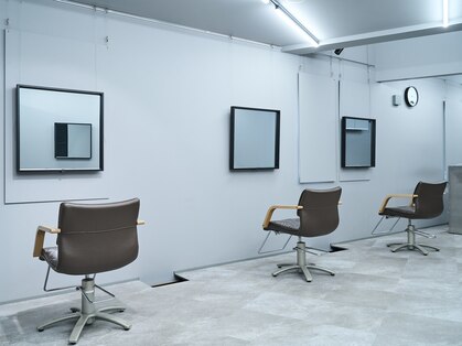 ラルス(Larus)の写真
