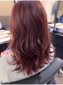 アプリコットラベンダー