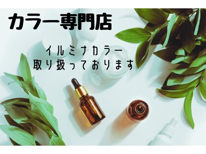 ディディ(D Dee)の写真
