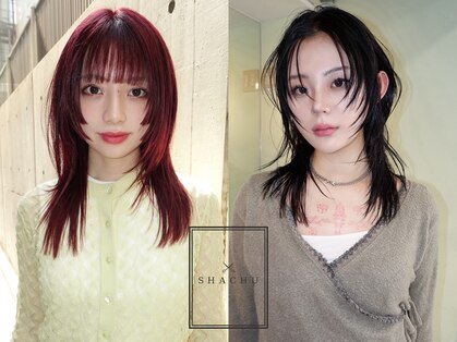 髪質改善　SHACHU AOYAMA 縮毛矯正　ブリーチ　ダブルカラー【６月上旬OPEN（予定）】の写真