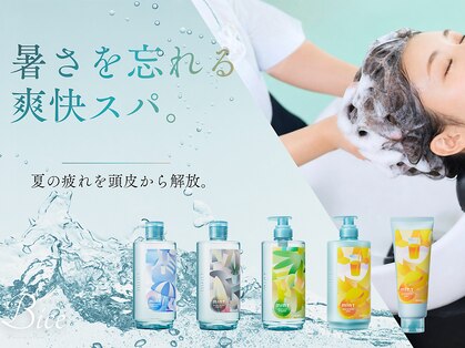 ビーチェ 小岩(Bice)の写真