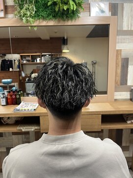 スウェルホワイト(SWELL WHITE) ツイストスパイラル×ホワイトメッシュ