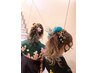 ★2026年卒業式  袴着付け&ヘアセット ￥15000※電話予約のみ/ネット予約不可