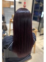 ニーイチイチ(211)&nbsp;デザインカラー/レッドバイオレット/チェリーブラウン