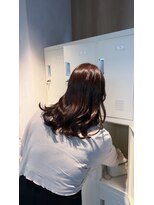 ラミンアカデミー(LAMIN ACADEMY)&nbsp;バイオレットブラウン