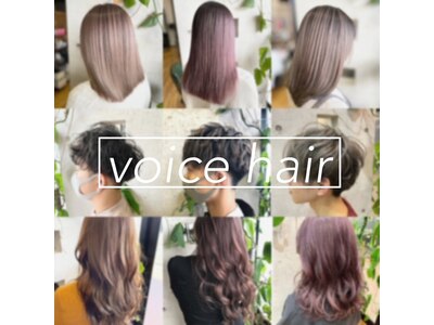 ヴォイスヘア(voice hair)