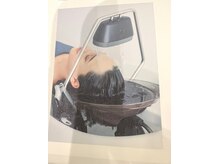 シロ(shiro)