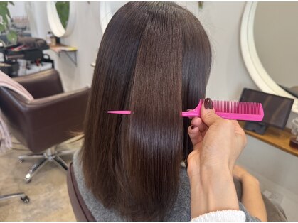 シーズ(Seeds)の写真