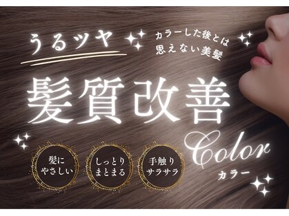 ルチカ(LUccica)の写真