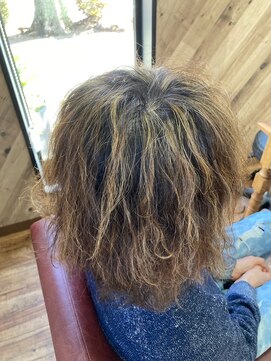 ルネッサンスヘアー ラファエロ(RAFFAELLO) メッシュ