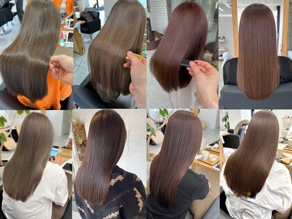 リベッタ(Ribetta)の写真