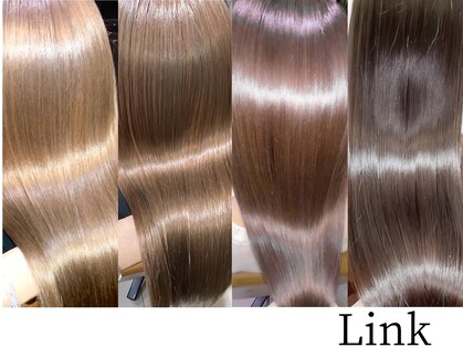 リンク(Link)の写真