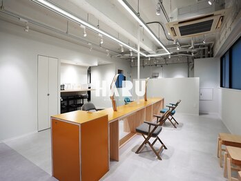 HARU　南平岸【ハル　ミナミヒラギシ】　