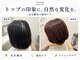 レヴィア(revia)の写真