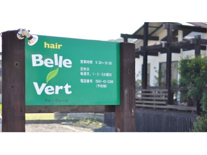 ベルヴェール ヘアー(Belle vert hair)の写真