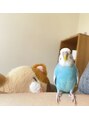 ビーウェイブ いわき(BE WAVE)&nbsp;インコ飼ってます！動物が大好きです！