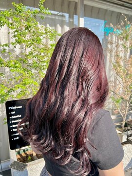 デイジーサイン(day's eye Sign) ワインレッド/ブリーチなし透明感/暖色系カラー