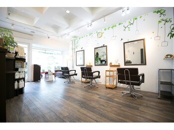 Ａｌｏｅ　【アロエ】