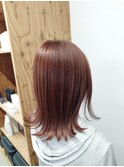 オータムヴァイオレットカラー