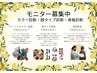 【トータル診断】12カラー診断＋顔タイプ＋骨格診断モニター価格￥16500
