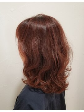 ウィロー(WILLOW) 【ＷＩＬＬＯＷ】　12ｌｖブラッドオレンジ　(小玉泰基)