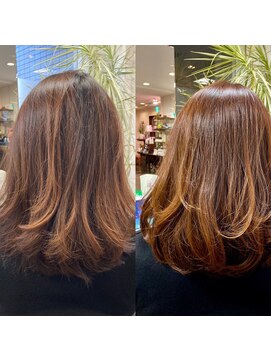 アルファ(alpha) 酸熱カラートリートメントミディアムヘア