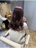 ピンクラベンダー