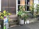 サムウェア(SOMEWHERE)の写真