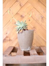 コモレビ(komorebi)&nbsp;八田 瞳