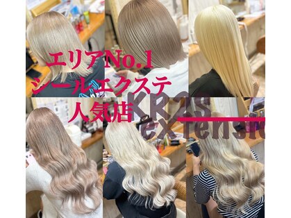 ケーアールツーエス 北野田店(KR2S)の写真