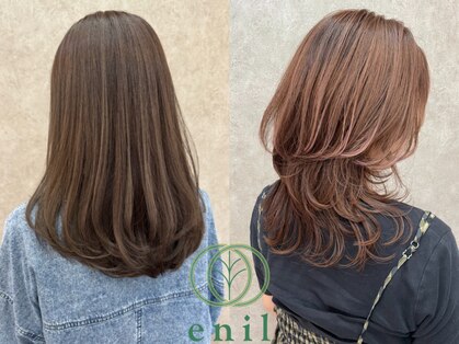 エニル(enil)の写真