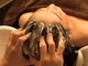 ザ ヘッドスパ トウキョウ エビス(The head spa tokyo EBISU)の写真/ヒト幹細胞培養液を使用して頭皮の血行を促進!!ゆったり空間で癒される至極の頭皮ケアなら《CASPA ebisu》