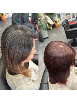 エミュ(emu) 髪質改善/極上艶髪/脱白髪染め