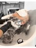 【ゆったり綺麗にしたい方へ】プレミアム髪質改善ケア＋リラックススパ￥12000