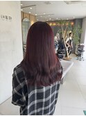 ボルドーカラー