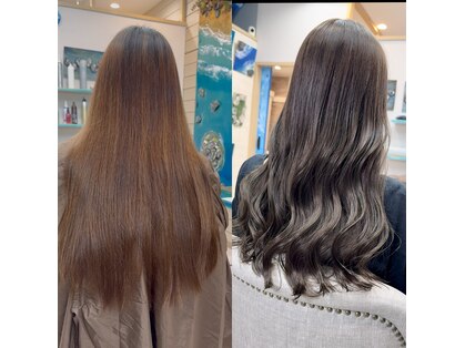 ラニハナクドウ(lanihana.kudo)の写真