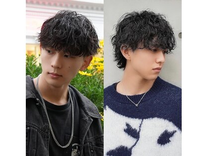 ピチカートシータ(pizzicato cita)の写真