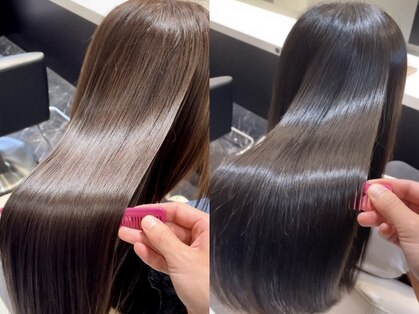 シファー(~Cifer)の写真