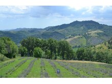 名前のない美容室はスパもこだわってるんです＊