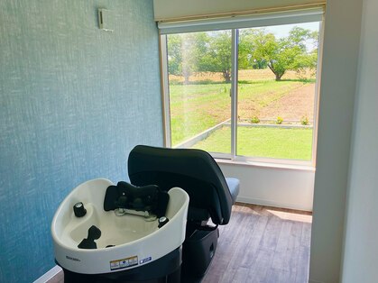 ハロ(HALO)の写真