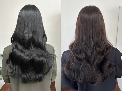 ロカ(roka)の写真