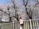 ヘア サロン イエロー(hair salon YELLOW)の写真/360度どこから見てもカワイイシルエットに♪ウルフカットも一ミリ単位までこだわり抜いたカット技術に圧倒!