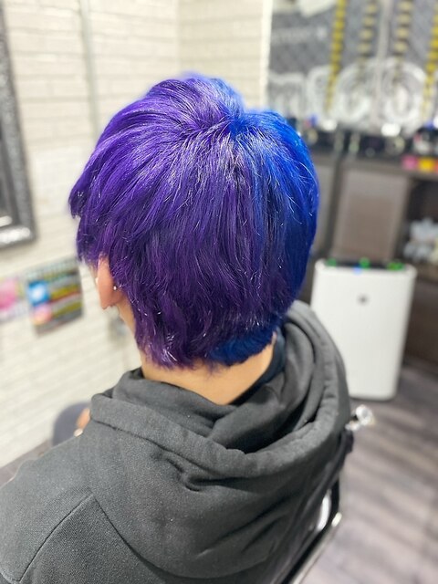 【派手髪】violet × blue 【ツートンカラー】
