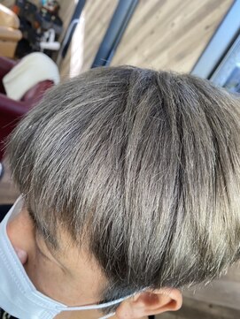 ルネッサンスヘアー ラファエロ(RAFFAELLO) シルバーカラー