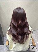 ピンクラベンダー