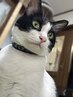 【サロン迷子さんにオススメ】キマるスタイリング簡単カット